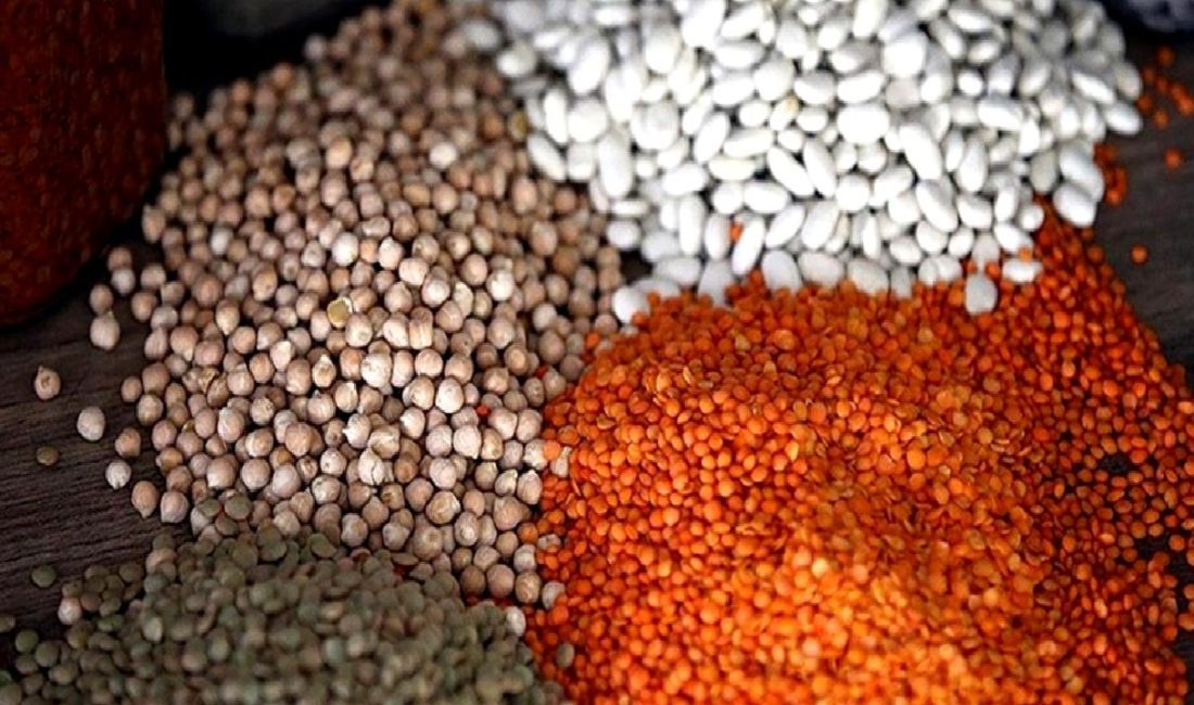 2024 Bitkisel Üretim İstatistikleri: TÜİK Raporu 2024 Bitkisel Üretim İstatistikleri: TÜİK Raporu, Türkiye'nin tarımsal üretim verilerini