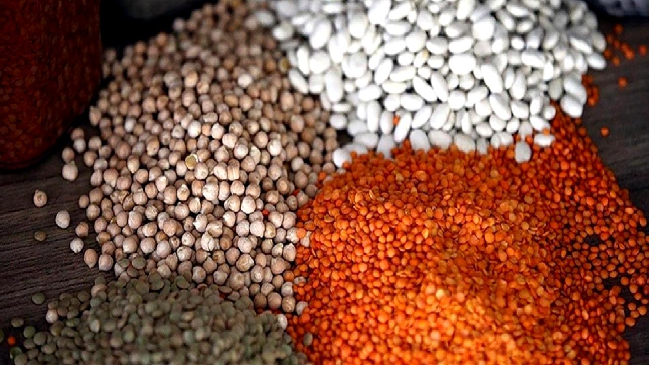 2024 Bitkisel Üretim İstatistikleri: TÜİK Raporu, Türkiye'nin tarımsal üretim verilerini