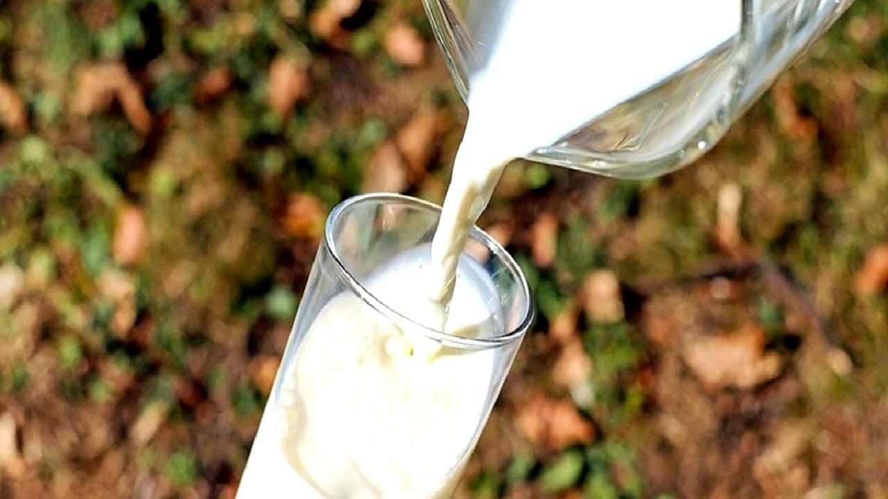 2024 yılı çiğ süt tavsiye fiyatları ve sektör durumu hakkında