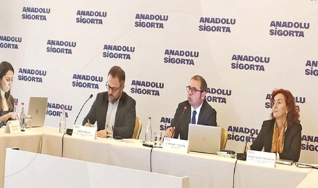 Anadolu Sigorta, 2025 hedeflerini açıkladı. Sektördeki yenilikçi yaklaşımları ve sürdürülebilir