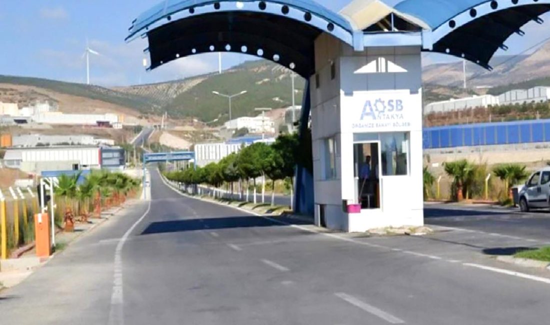 Antakya Organize Sanayi Bölgesi'nin hedefleri ve istihdam sorunları üzerine derinlemesine