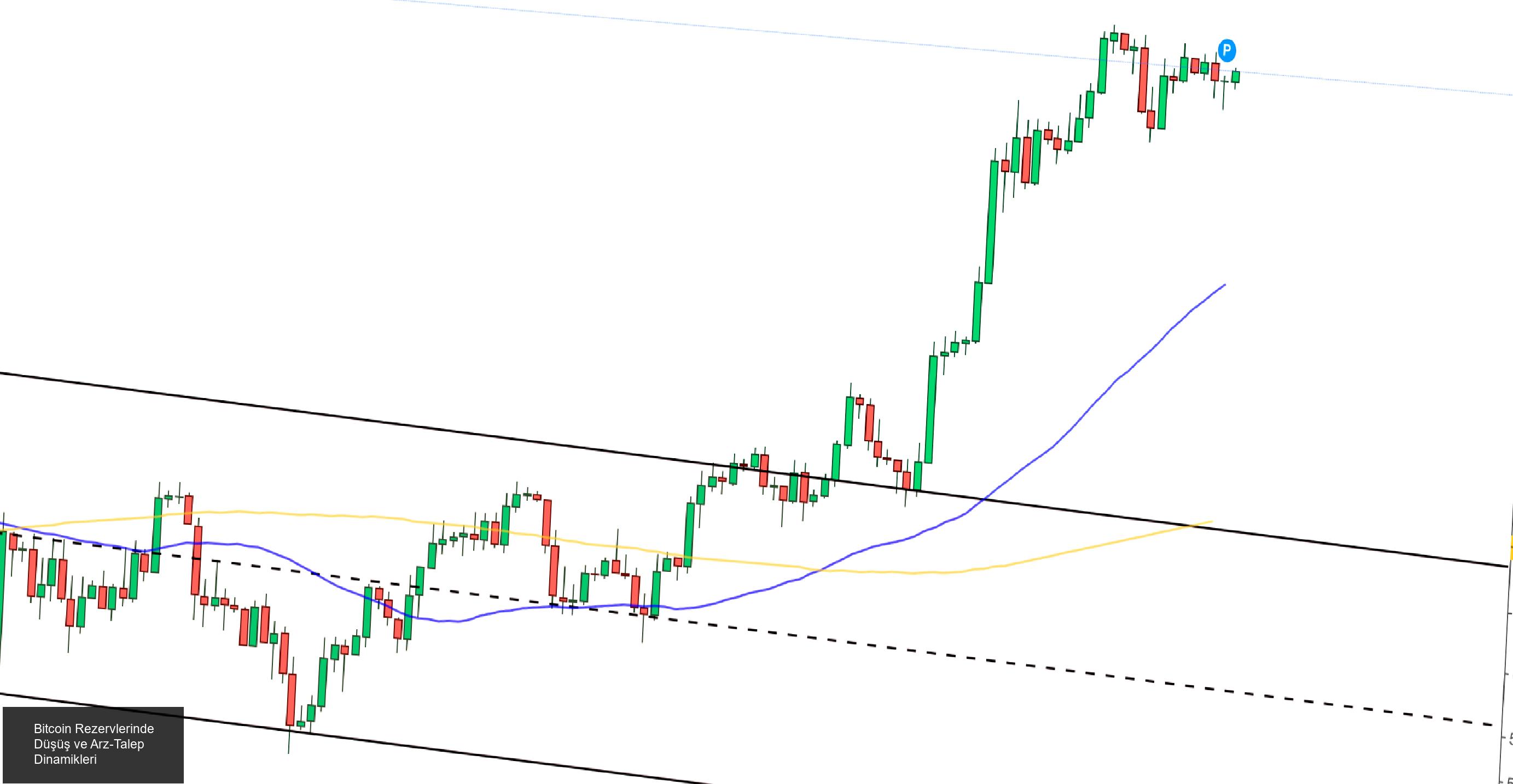 Bitcoin'de Arz-Talep Dinamikleri