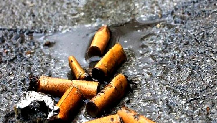 Bolu Belediyesi’nden Çevre Kirliliğine Karşı Sert Önlemler Bolu Belediyesi, çevre kirliliğiyle mücadelede kararlı adımlar atıyor. Yeni uygulamalar,