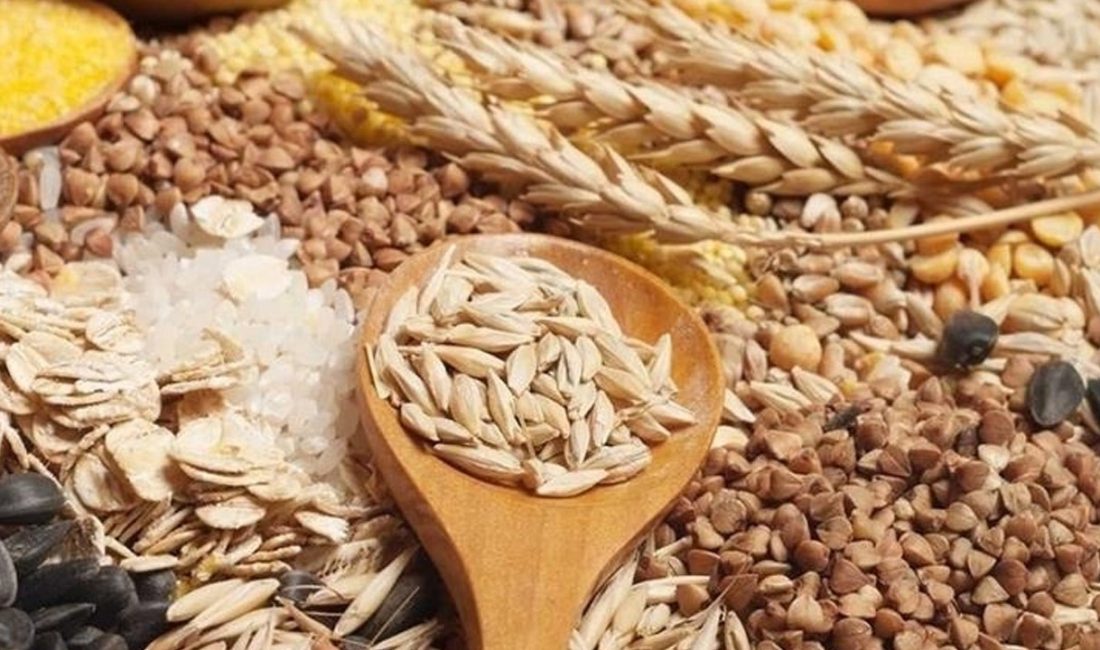 Çin, 2023 yılında hububat hasadında tarihi bir rekor kırarak dünya