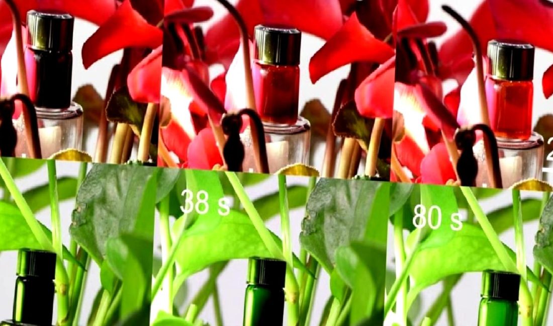 Çinli Bilim İnsanlarından Çevresine Uyum Sağlayan Kamuflaj Malzemesi Çinli bilim insanları, çevresine uyum sağlayarak görünmezlik özelliği sunan yenilikçi