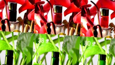 Çinli bilim insanları, çevresine uyum sağlayarak görünmezlik özelliği sunan yenilikçi