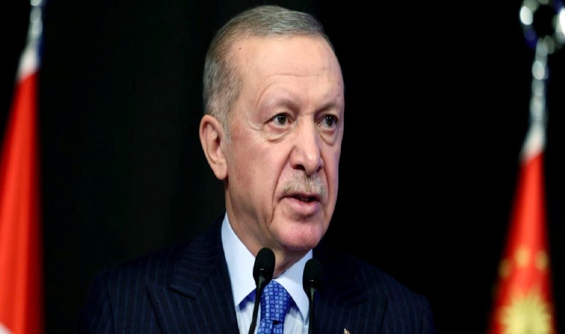 Cumhurbaşkanı Erdoğan'ın Mısır ziyareti ve D-8 Zirvesi hakkında detaylı bilgilere