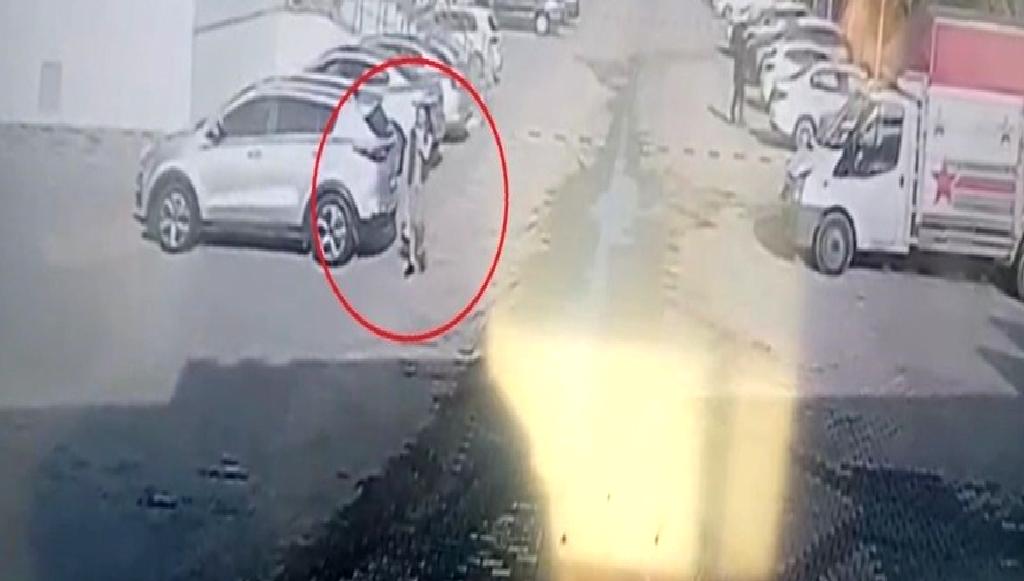 Diyarbakır'da kaybolan 12 yaşındaki Ecrin Erim'in bulunması sevindirdi. Ecrin'in ailesi