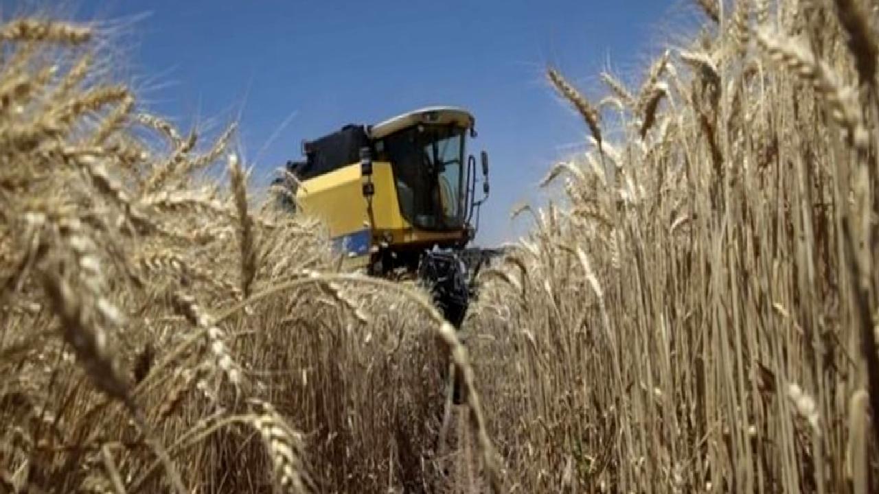 Ekim ayı Tarım Ürünleri Üretici Fiyat Endeksi (Tarım-ÜFE) verileri açıklandı.