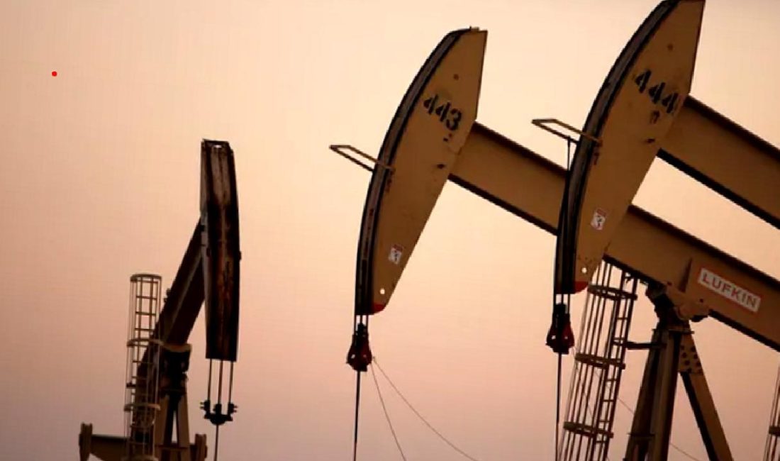 Erzincan ve Erzurum'da yeni petrol arama ruhsatları verildi. Bu gelişme,