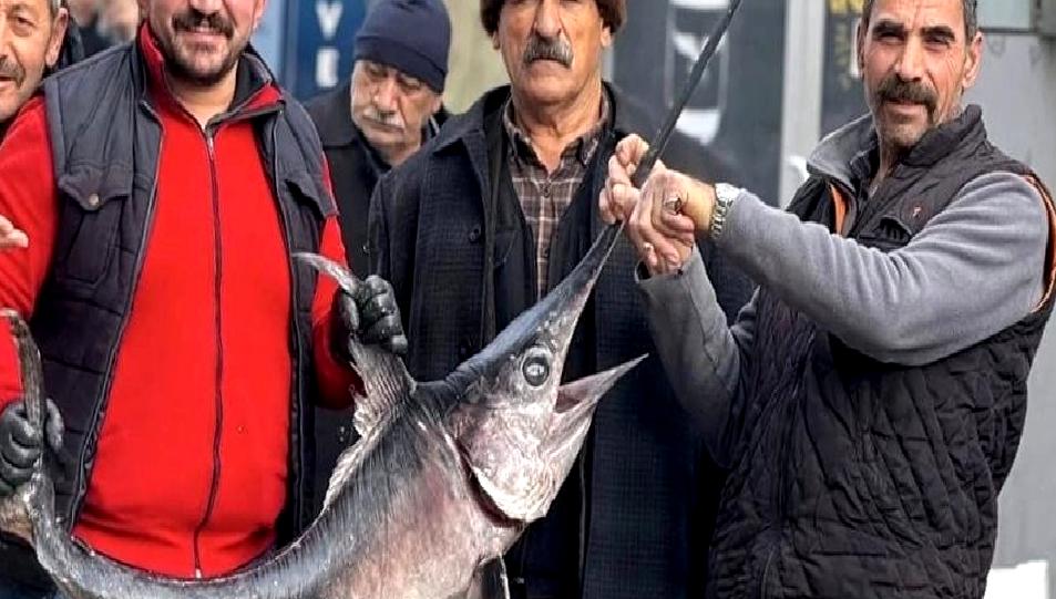 Erzincan'da Kılıçbalığı avının heyecanını keşfedin! Bu eşsiz deneyim, doğa ile