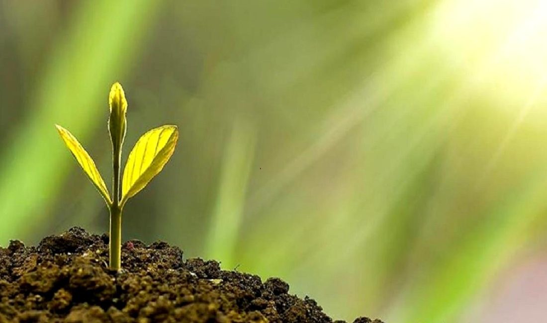 EY Kurumsal Yatırımcı Araştırması 2024 Raporu, ESG stratejileri ve yatırımcı