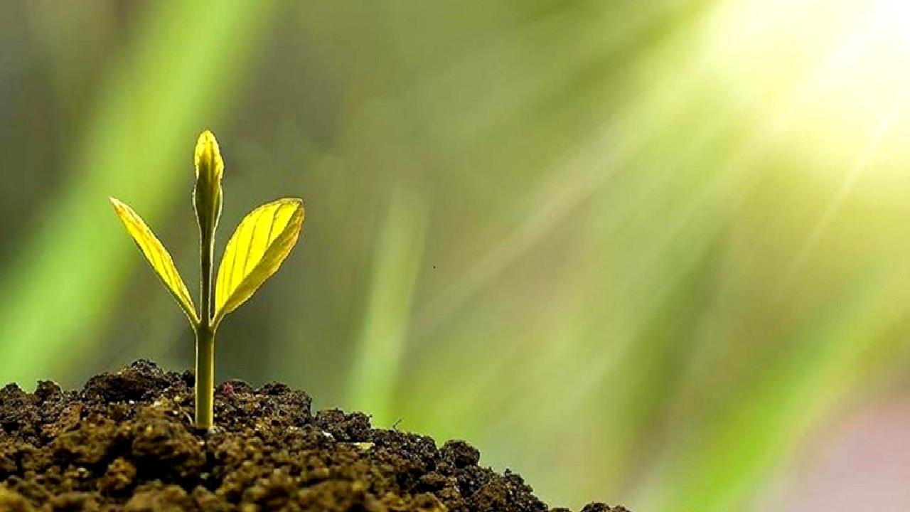 EY Kurumsal Yatırımcı Araştırması 2024 Raporu, ESG stratejileri ve yatırımcı