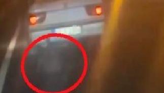 Kayseri-Malatya yolunda avlanan domuzun sürüklenmesi olayı, dikkat çekici anlara sahne