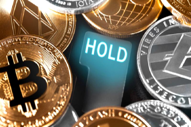 Kripto para ekosisteminde rekor transfer hacmi ve blockchain tercihleri üzerine