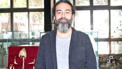 Mersin Körfezi'nde kum köpek balıkları üzerine yapılan önemli araştırmalar, bu