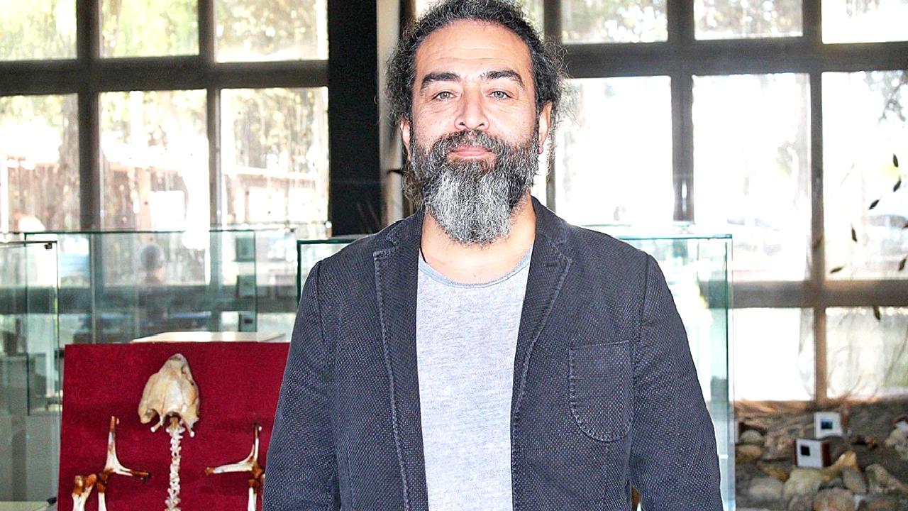 Mersin Körfezi'nde kum köpek balıkları üzerine yapılan önemli araştırmalar, bu