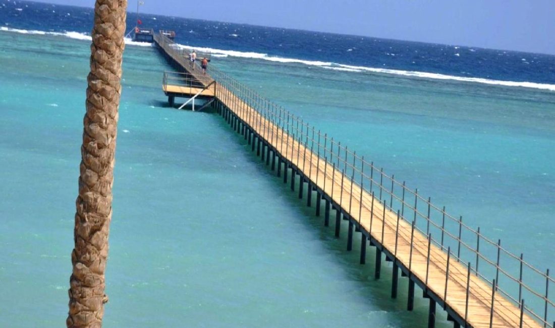 Mısır'da Kızıldeniz'de meydana gelen köpek balığı saldırısında bir kişi hayatını