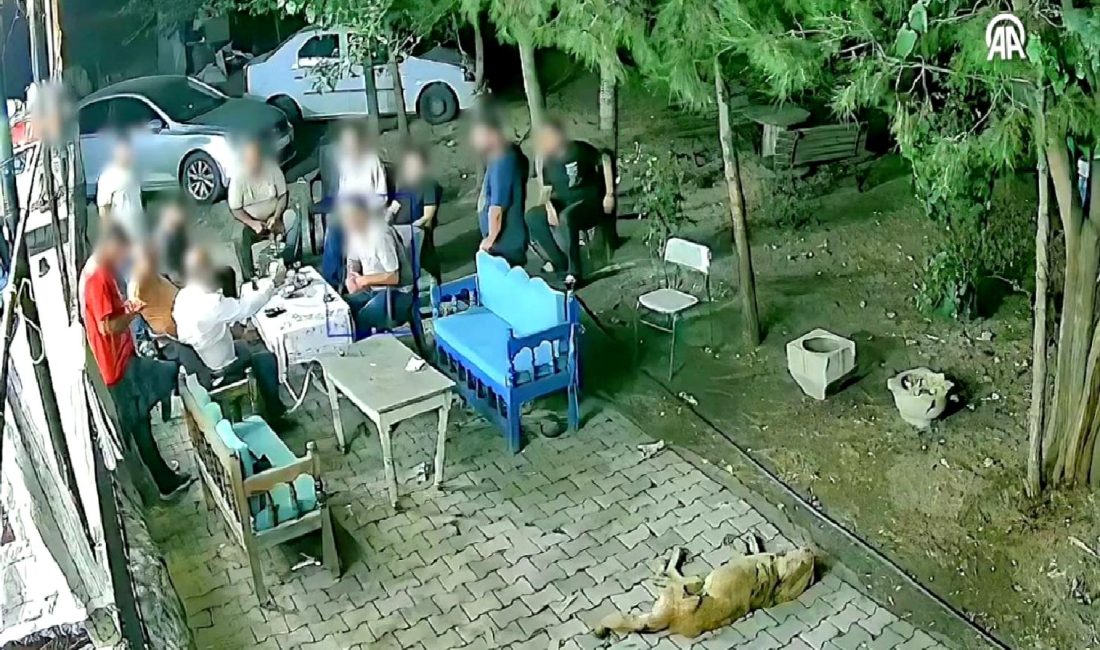 Narin Güran davasında aile üyelerine yöneltilen ağır suçlamalar, kamuoyunda büyük