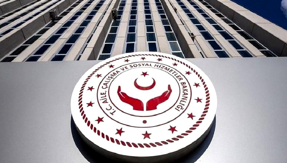 Nüfus Politikaları Kurulu ve Aile Enstitüsü Kurulması Nüfus Politikaları Kurulu ve Aile Enstitüsü'nün kurulması, toplumun demografik yapısını