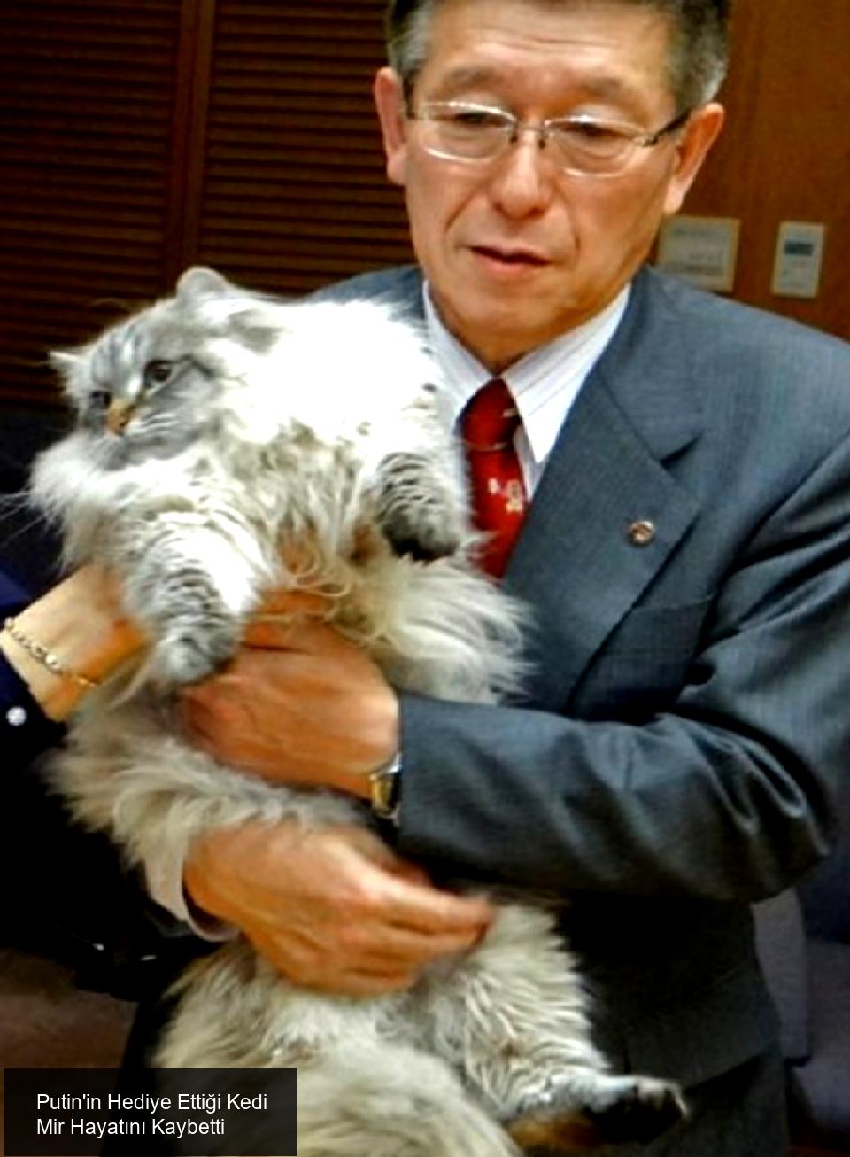 Putin'in Hediye Ettiği Kedi Mir Hayatını Kaybetti