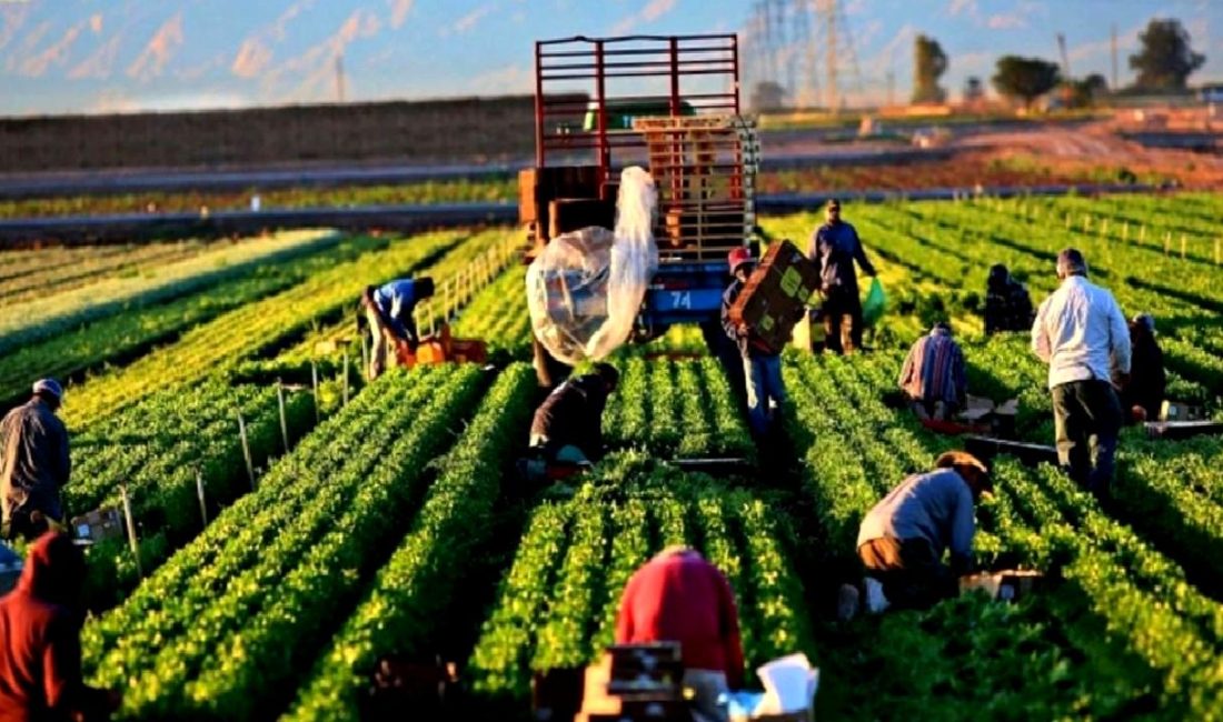 Tarım ve Orman Bakanı İbrahim Yumaklı’nın Yeni Destek Hesaplama Sistemi Tanıtıldı Tarım ve Orman Bakanı İbrahim Yumaklı, yeni destek hesaplama sistemini