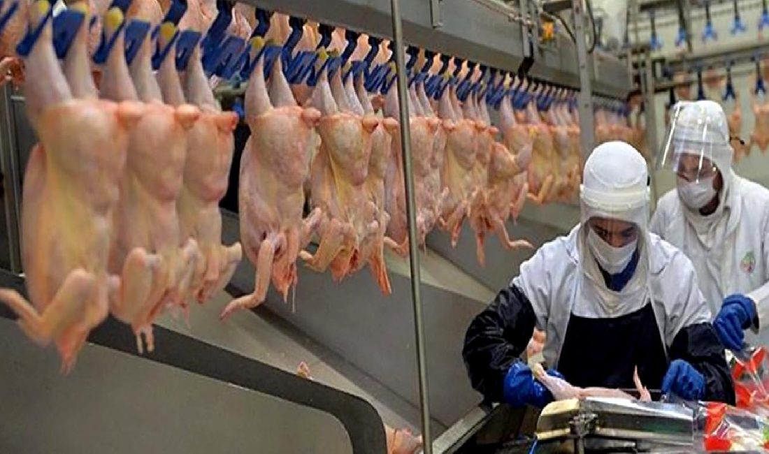 Tavuk parçalama yasağının kaldırılmasıyla birlikte, marketlerde fiyatlarda %30 indirim beklentisi
