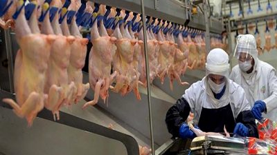 Tavuk parçalama yasağının kaldırılmasıyla birlikte, marketlerde fiyatlarda %30 indirim beklentisi