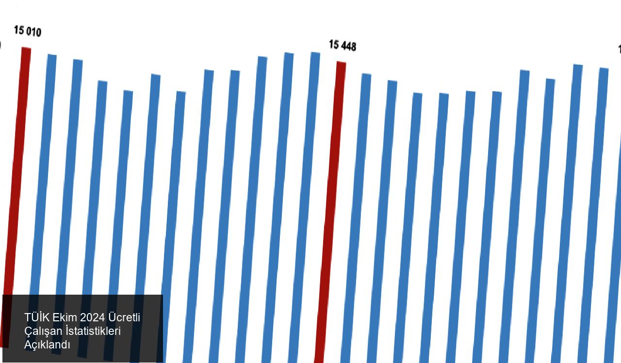 TÜİK Ekim Ayı Ücretli Çalışan İstatistiklerini Açıkladı