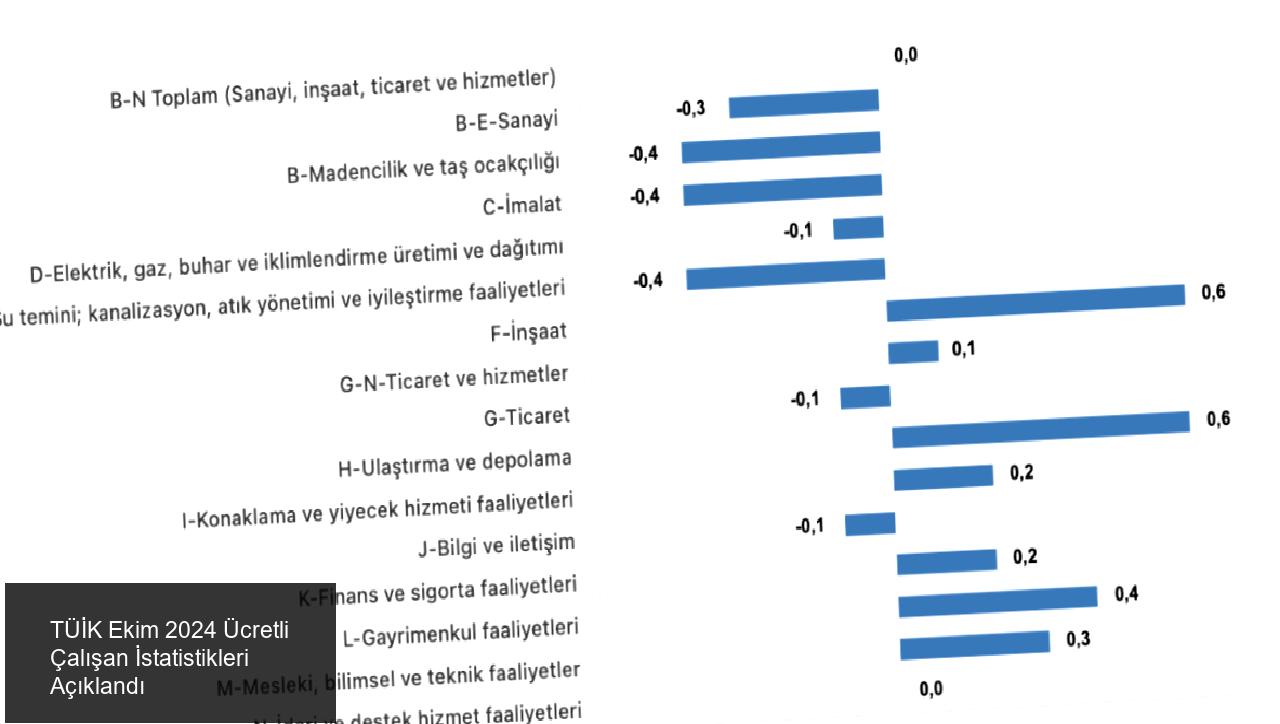 TÜİK Ekim 2024 Ücretli Çalışan İstatistikleri Açıklandı
