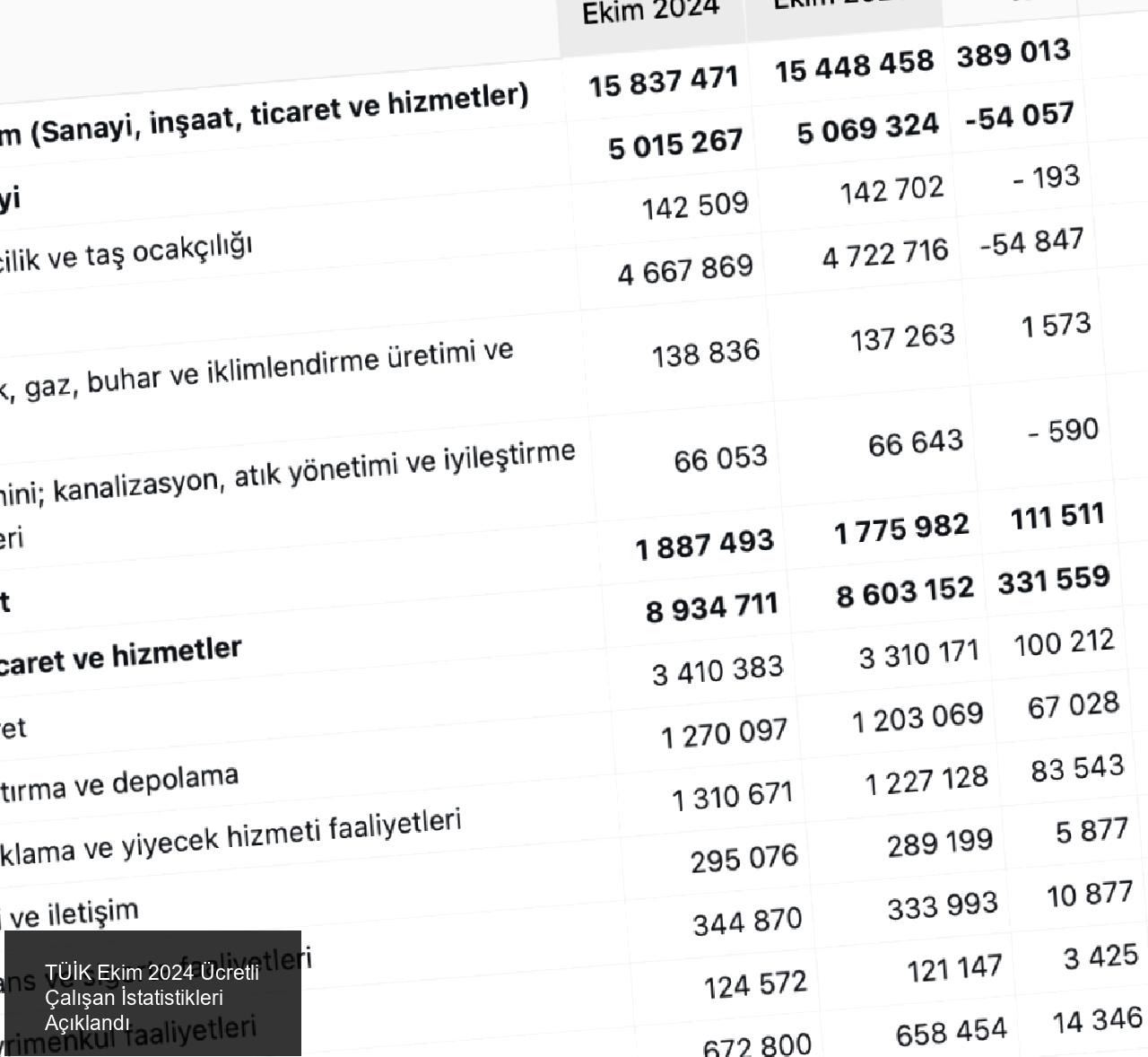 TÜİK Ekim 2024 Ücretli Çalışan İstatistikleri Açıklandı