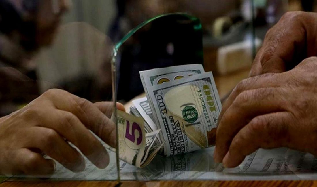 Türkiye Bankalar Birliği, döviz banknotlarıyla ilgili önemli açıklamalarda bulundu. Bu