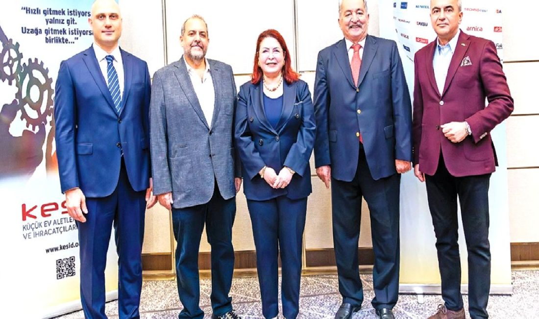 Türkiye Küçük Ev Aletleri Sektöründe Büyüme ve Stratejiler Türkiye küçük ev aletleri sektörü, yenilikçi stratejiler ve pazar büyümesi