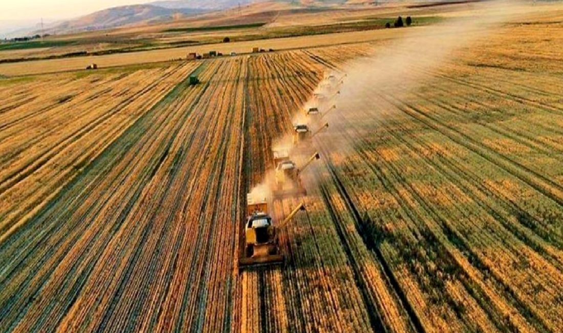 Yeni sigorta uygulamaları ve destekler hakkında kapsamlı bilgilendirme. Bu içerikte,