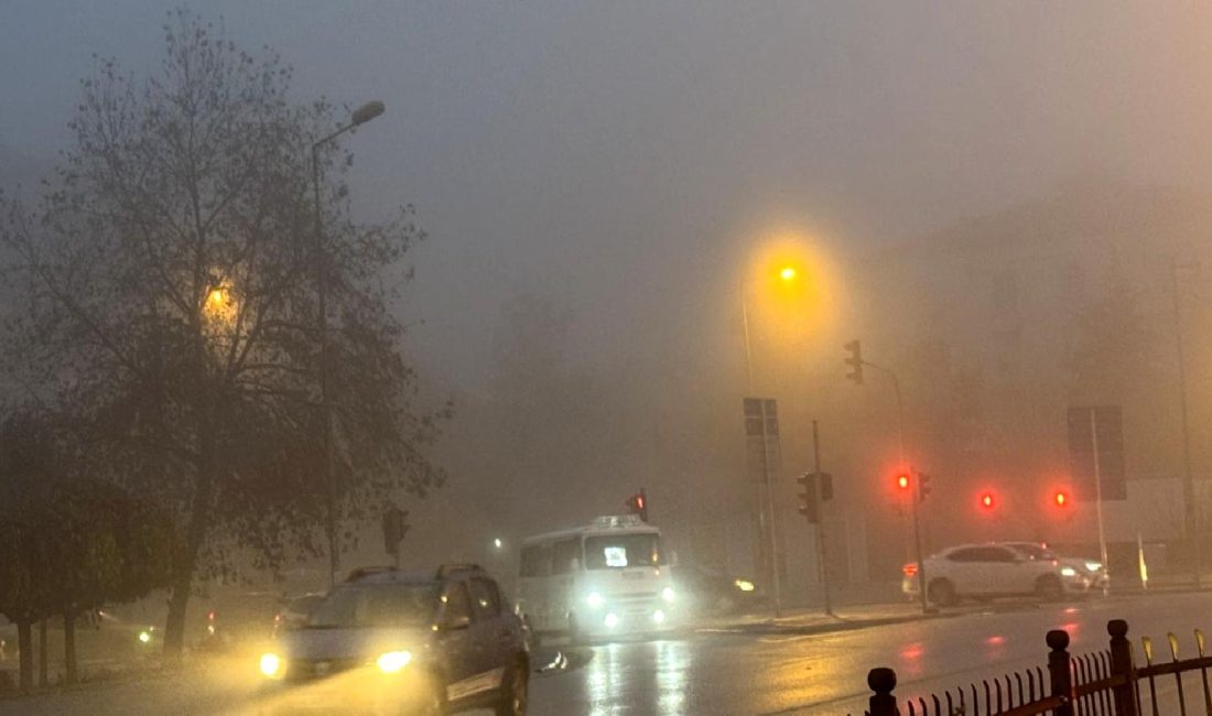 Yoğun sis, sürüş güvenliğini tehdit ediyor. Bu makalede, sisli havalarda