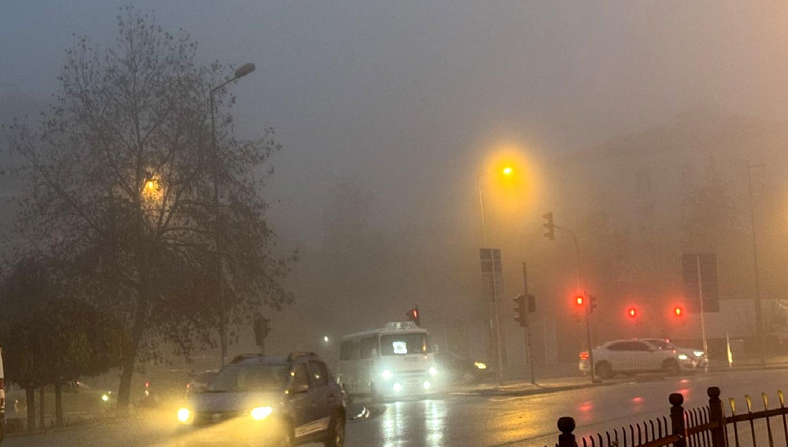 Yoğun sis, sürüş güvenliğini tehdit ediyor. Bu makalede, sisli havalarda