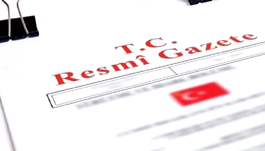 Yürütme ve İdare Bölümü'ne ait yönetmelikler ve ilanlar hakkında detaylı