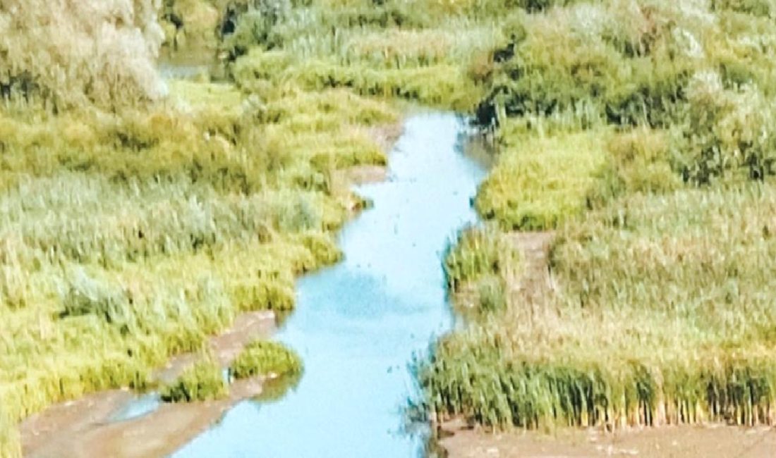 2024 yılında iklim krizi ve aşırı hava olaylarının etkilerini keşfedin.