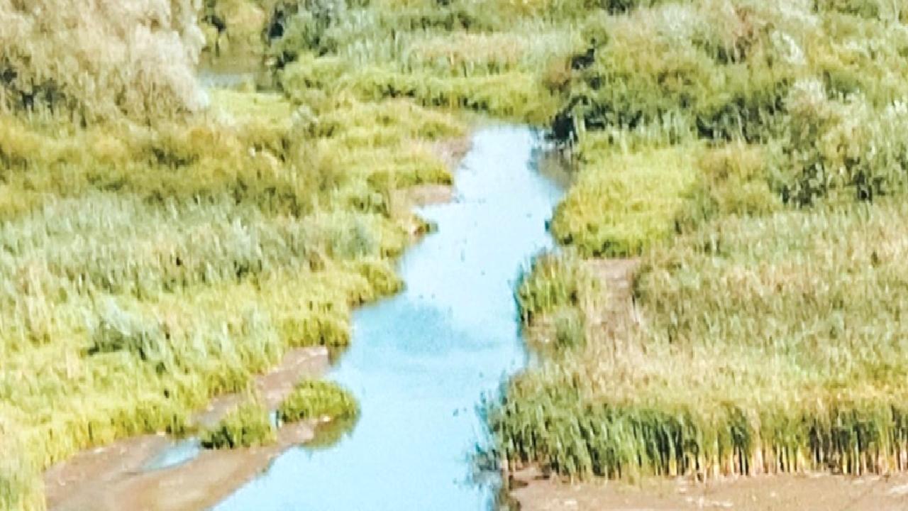 2024 yılında iklim krizi ve aşırı hava olaylarının etkilerini keşfedin.