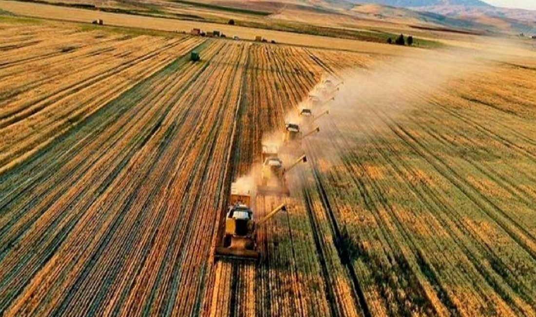 2025-2027 Yılları Bitkisel Üretim Desteklemeleri 2025-2027 yılları arasında uygulanacak bitkisel üretim desteklemeleri hakkında detaylı bilgiye