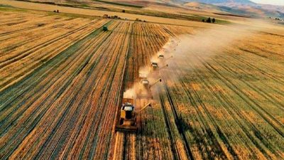 2025-2027 yılları arasında uygulanacak bitkisel üretim desteklemeleri hakkında detaylı bilgiye