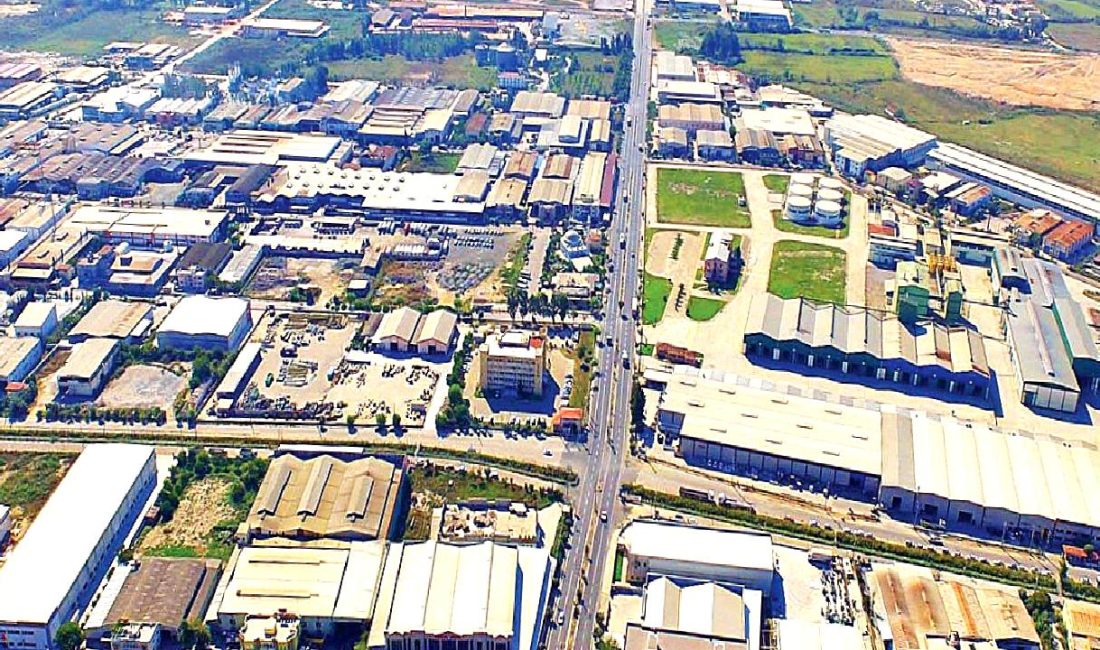 Aydın sanayi ve tarım sektöründeki son gelişmeleri keşfedin. Yenilikler, yatırımlar