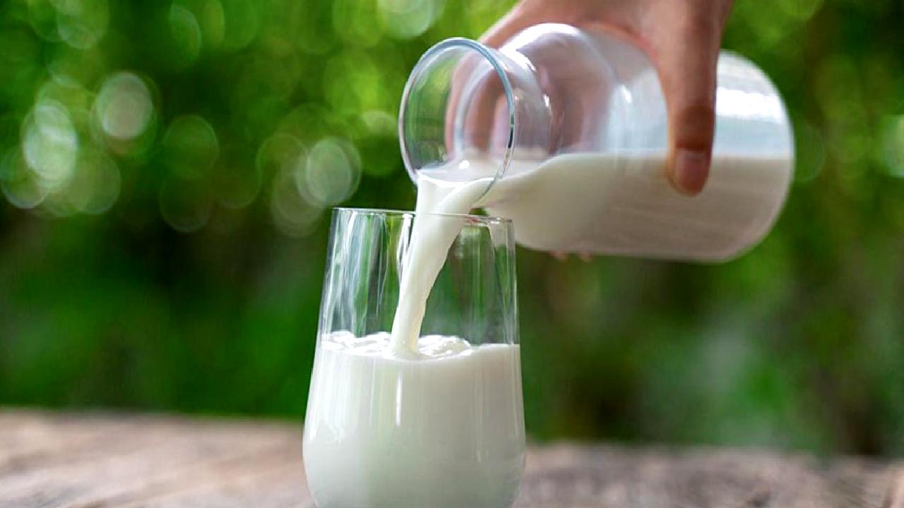 Birşah markalı sütlerde su tespiti ile ilgili detaylı incelemelere ulaşın.