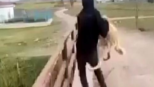 Eskişehir'de bir sokak köpeğine yönelik şiddet olayı, hayvan hakları savunucularını