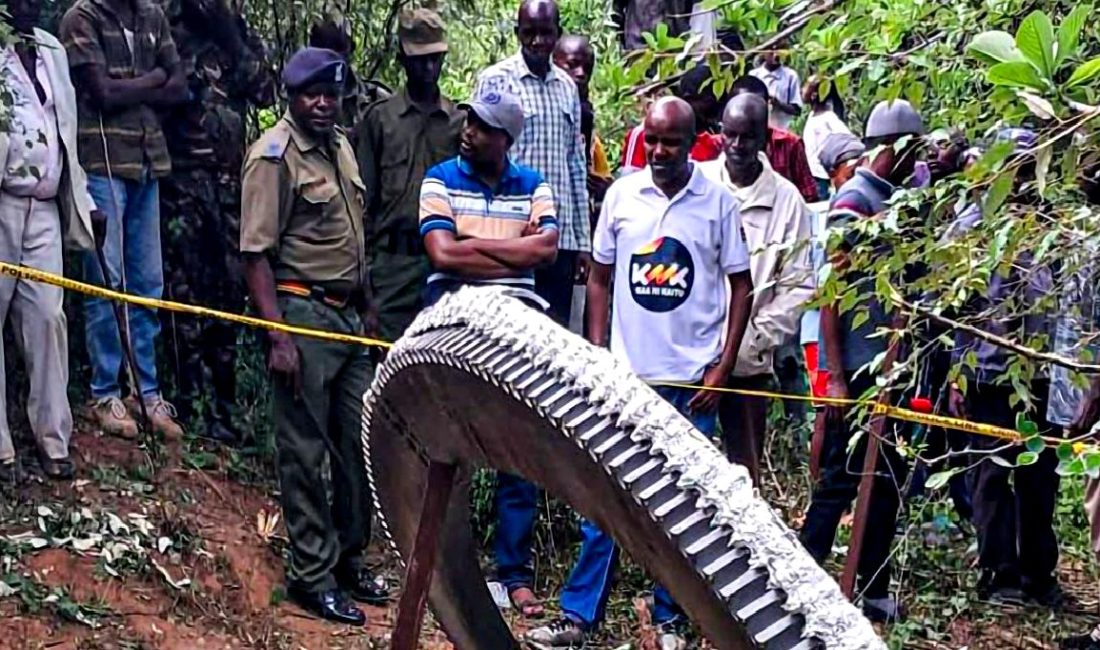 Gökyüzünden düşen gizemli metalik cisim, bilim insanları tarafından inceleniyor. Bu