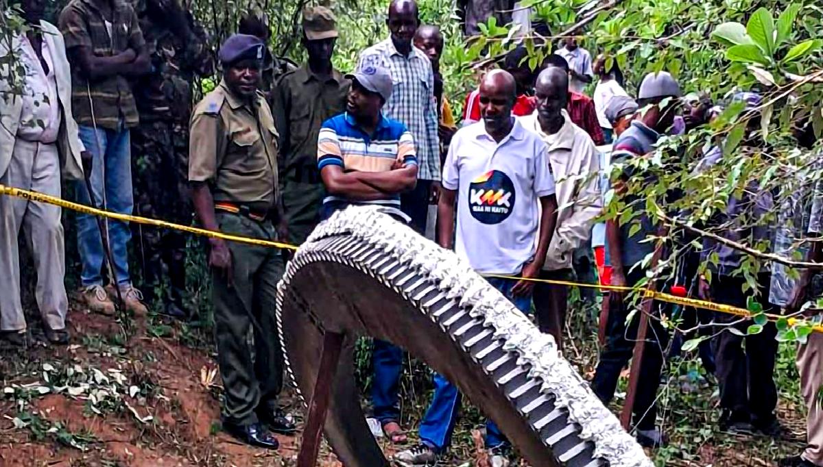 Gökyüzünden düşen gizemli metalik cisim, bilim insanları tarafından inceleniyor. Bu