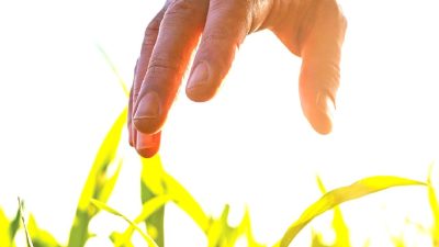 İklim değişikliği, tarım sektöründe hem zorluklar hem de fırsatlar yaratıyor.