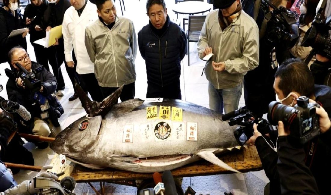 Japonya'nın 2025 İlk Balık Mezatı, tarihi bir rekora imza atarak