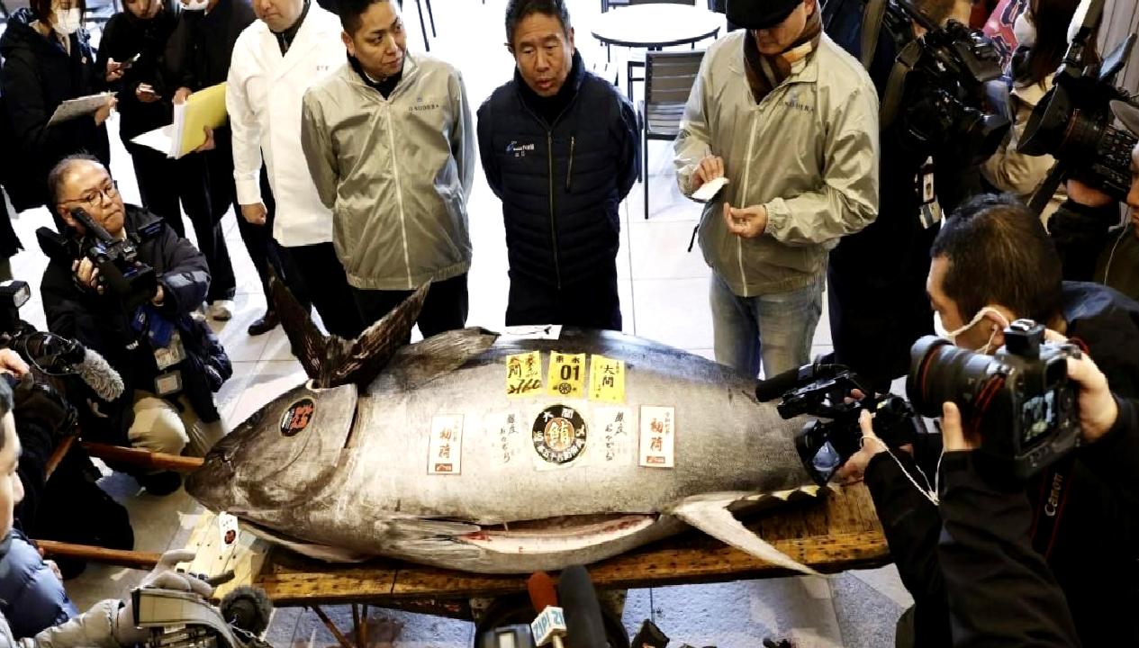 Japonya'nın 2025 İlk Balık Mezatı, tarihi bir rekora imza atarak