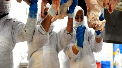 Kesimhanelerde yeni yönetmelikler ve görüntüleme sistemleri hakkında detaylı bilgi edinin.